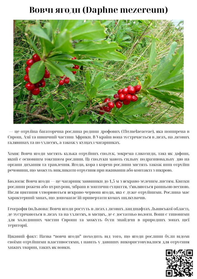 C:\Users\Admin\Desktop\робота школа\навчальний рік 24-25\Грунти\IMG_5259.PNG